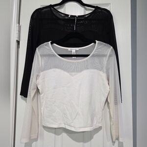 Ambiance Black and White Sheer Blouses
